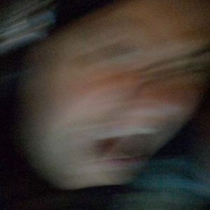 Meet your Posher, Max